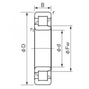 180 mm x 280 mm x 46 mm  NACHI NJ 1036 محامل أسطوانية