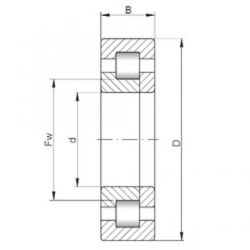 320 mm x 480 mm x 121 mm  ISO NUP3064 محامل أسطوانية