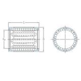 SKF LBBR 25-2LS/HV6 المحامل الخطية