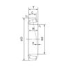 61.912 mm x 122.238 mm x 36.678 mm  NACHI 554/553X تناقص الأسطوانة المحامل