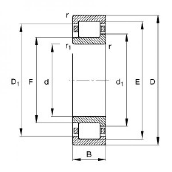 45 mm x 100 mm x 36 mm  FAG NJ2309-E-TVP2 محامل أسطوانية #1 image