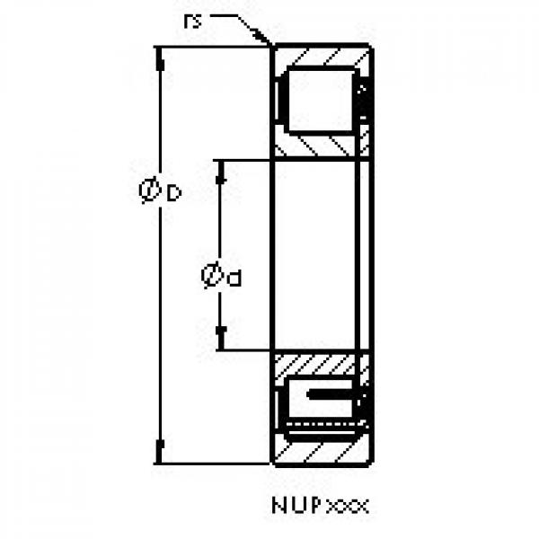 AST NUP232 EMA محامل أسطوانية #1 image