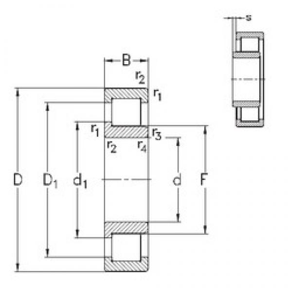 55 mm x 100 mm x 21 mm  NKE NJ211-E-TVP3 محامل أسطوانية #1 image