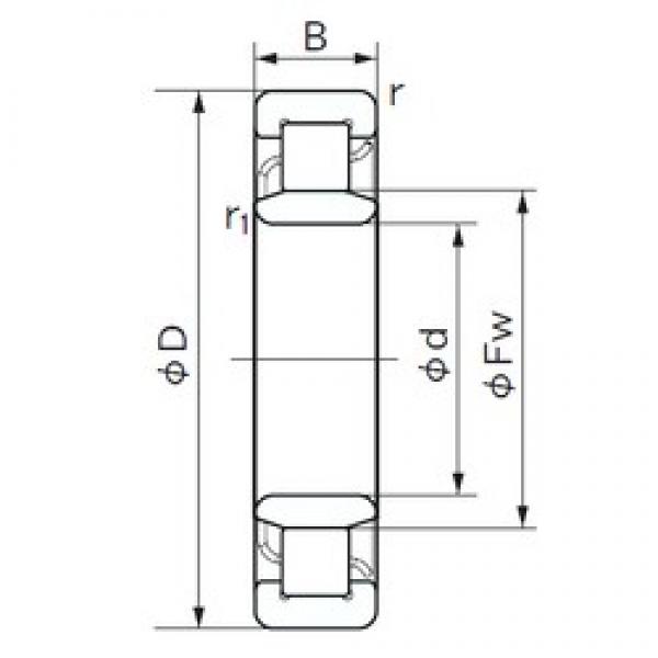 45 mm x 120 mm x 29 mm  NACHI NU 409 محامل أسطوانية #1 image