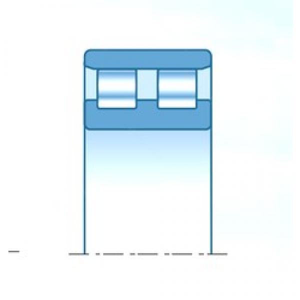 170 mm x 230 mm x 45 mm  NTN NN3934C1NAP4 محامل أسطوانية #1 image