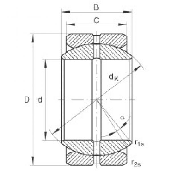 INA GE50-ZO محامل عادي #1 image